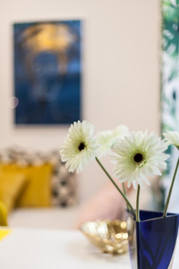 Apartament Vintage Senacka *